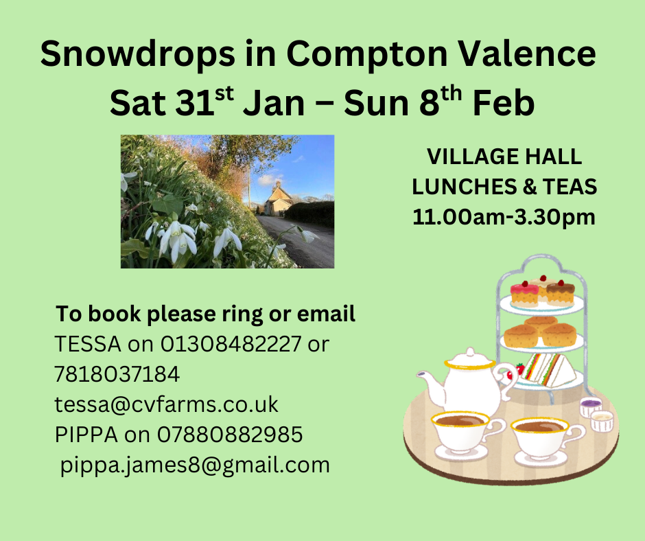 Snowdrops in Compton Valence